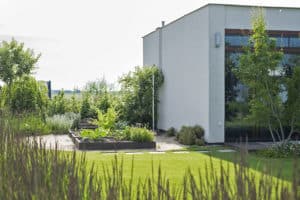 Zahrada a okolí domu